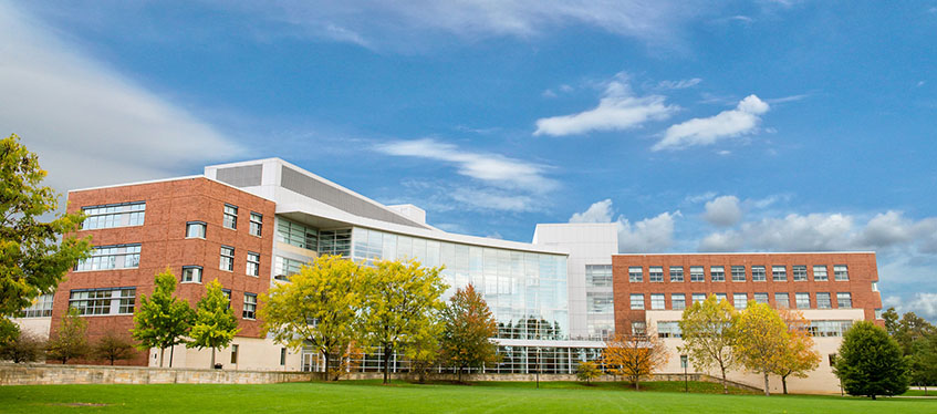 Meadow View Business Building